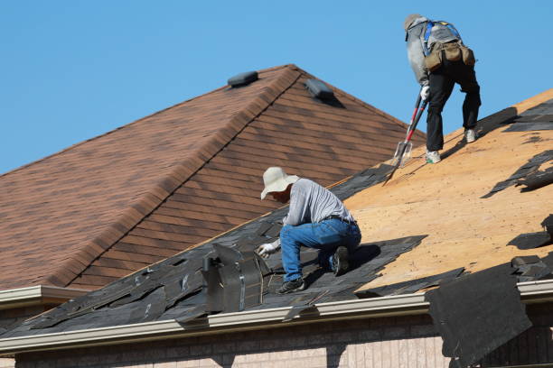 Best Sheet Metal Roofing  in Manly, IA